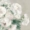 Peonies on Gray Flipped Crop by Marilyn Hageman 24" x 24" Canvas Wall Art